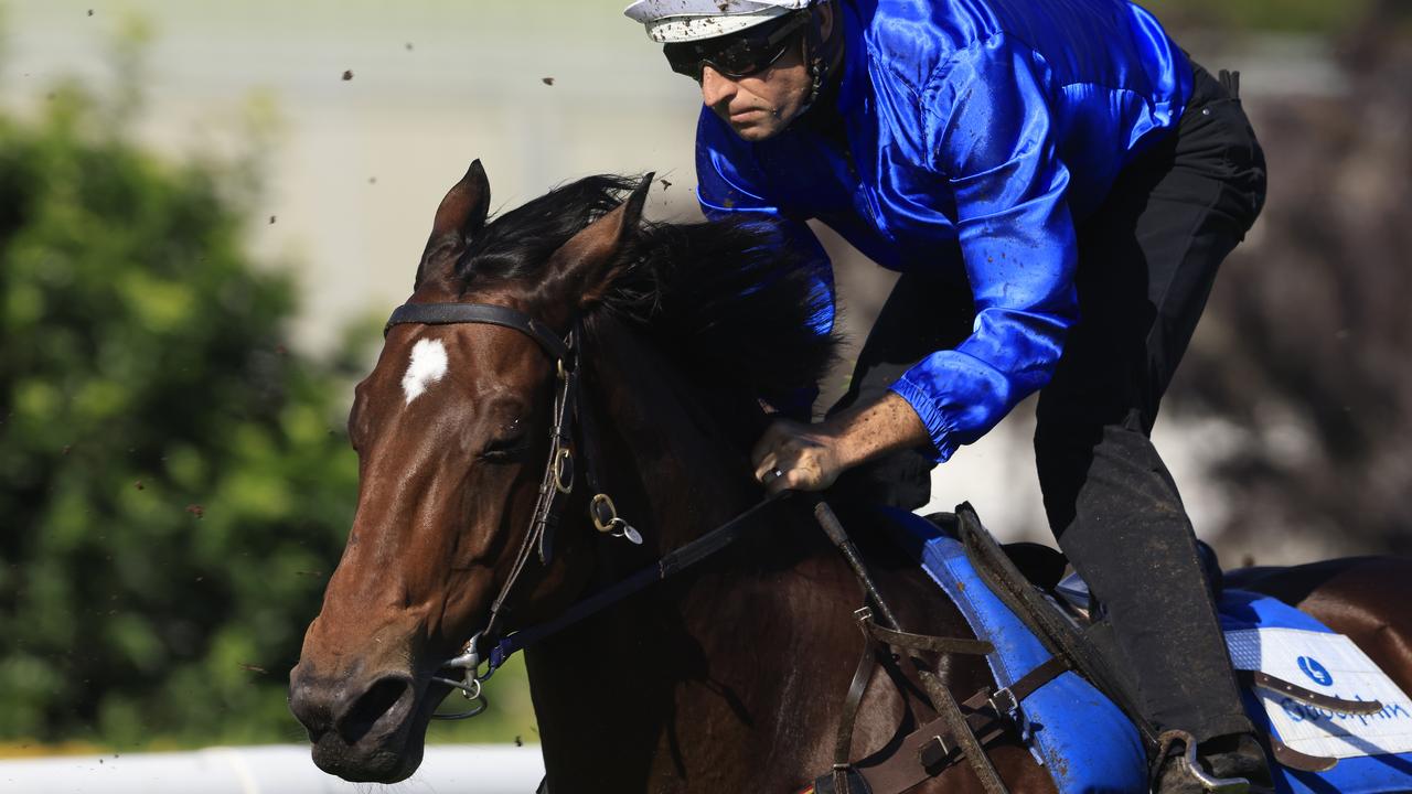 Hugh Bowman on Savatiano. (Photo by Mark Evans/Getty Images)