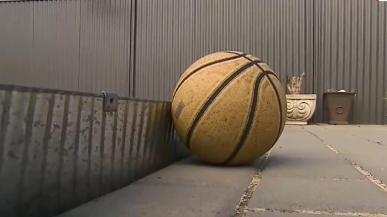 She also demanded the neighbour’s children stop bouncing basketballs. Picture: Nine News