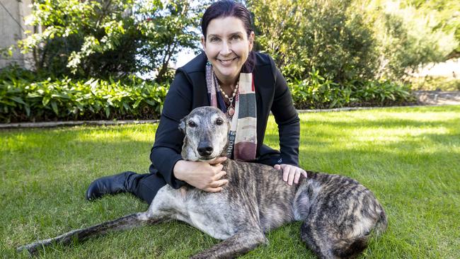 Professor Rachel Allavena with her greyhound, Barney, who was diagnosed with osteosarcoma last year.  Barney had surgery and was then the first dog to be given an early formulation of this immunotherapy Ã¢â¬â the vaccine being developed to stimulate the immune system to fight the cancerÃ¢â¬â¢s spread. Barney is alive and well 10 months later.