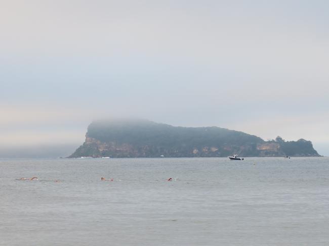 The swimmers fast became specks in the water with Lion Island on the horizon. Picture: Richard Noone