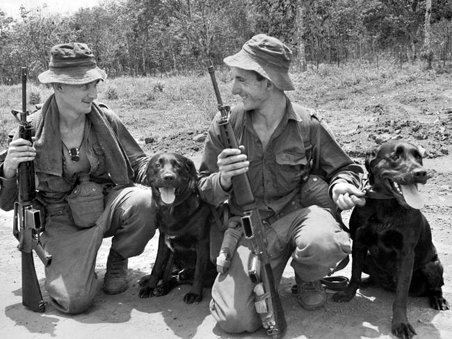 Anzac Day 2017 True Stories Of Animals At War Daily Telegraph