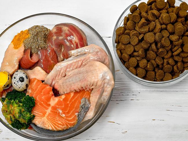 There are pros and cons of all different pet diets. Picture: iStock