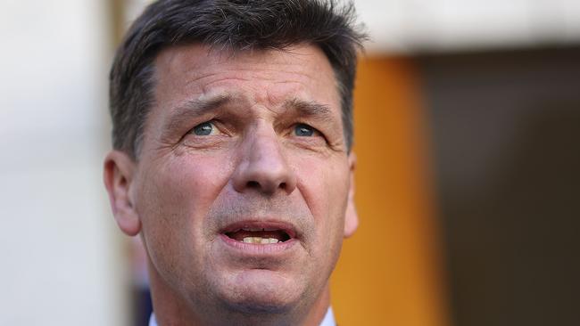 Energy Minister Angus Taylor. Picture: Gary Ramage