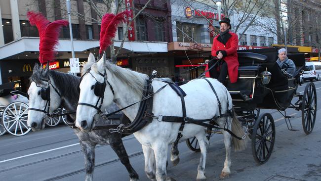 Melbourne against horse drawn carriages? Carriage drivers defy council ...