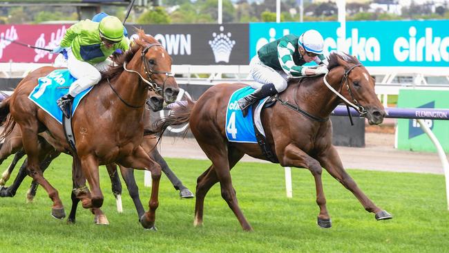 First Settler holds off a surging Reserve Bank in the Danehill Stakes at Flemington. Picture: Brett Holburt/Racing Photos via Getty Images