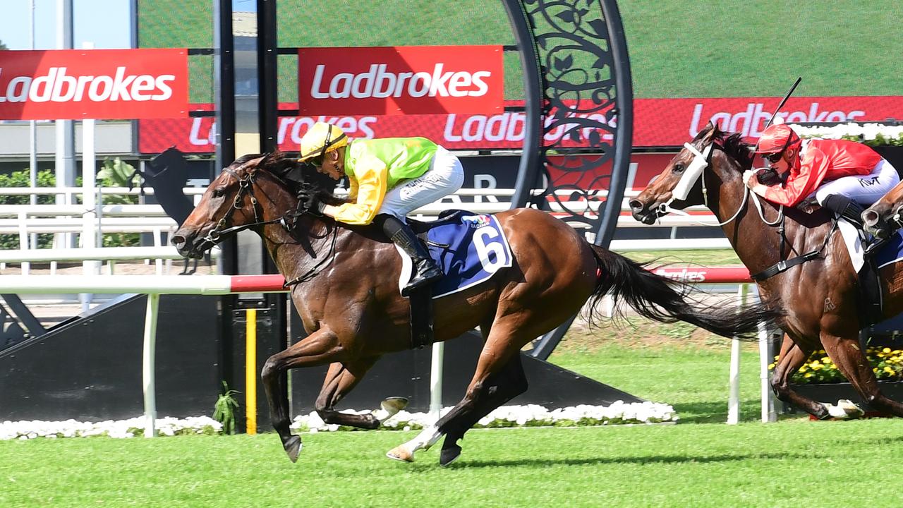 All That Pizzazz pictured winning the Listed Bribie Handicap at <span>Eagle Farm under Ben Thompson. Picture: Natasha Wood/Trackside Photography.</span>