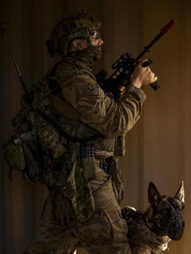 An Australian Army soldier from 1st Military Police Battalion and his Military Working Dog Petra during an assault at the Urban Operations Training Facility on Exercise Brolga Run, on 24 May 2024, at Townsville Field Training Area, Queensland. Photo: CAPT Brittany Evans