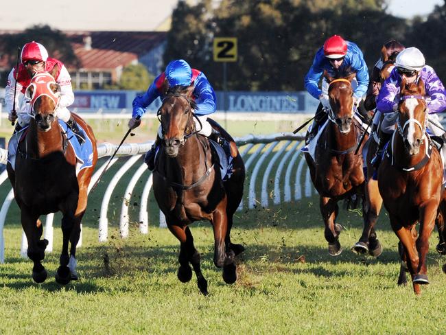 Thud (blue and red sash) rallies after getting clear air but it’s all too late again. Picture: Simon Bullard