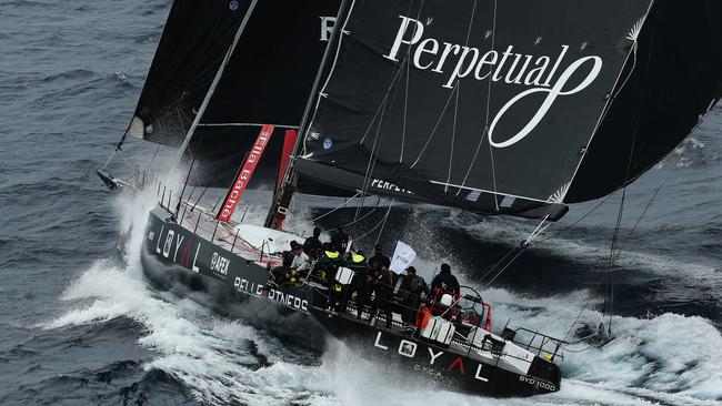 Sydney to Hobart: Comanche crew on Perpetual Loyal, sailing, Amanda ...