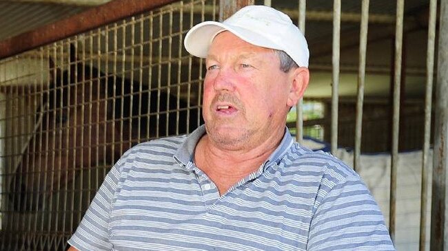 Trainer Gary Colvin can kick off the day on a winning note with Gironde.