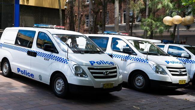 Baryulgil woman, Lyniv Grace Gordon, fronted Lismore Local Court on Monday June 6 via videolink charged with resisting an officer in the execution of duty, destroying and damaging property, and common assault. Credit: IStock/Julien Viry