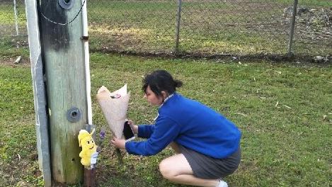 Friends place tributes at the site of the crash.