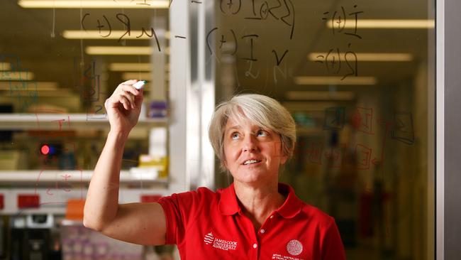 Professor Emma McBryde who is one of the country’s leading epidemiologists. Picture: Alix Sweeney