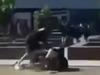 ‘Eshay’ alerts, out-of-control brawl but State says school is ‘safe’