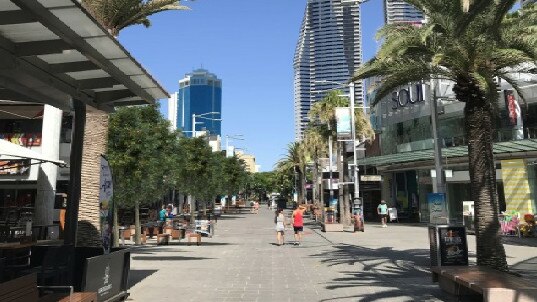 New Waterhousia (weeping lily pilly) shade trees will replace the Norfolk pines, as seen in an artist's impression. Picture: Gold Coast City Council