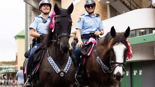 Even the police horses showed their support of the Pink Test and the Jane McGrath Foundation. Photo: Tom Parrish