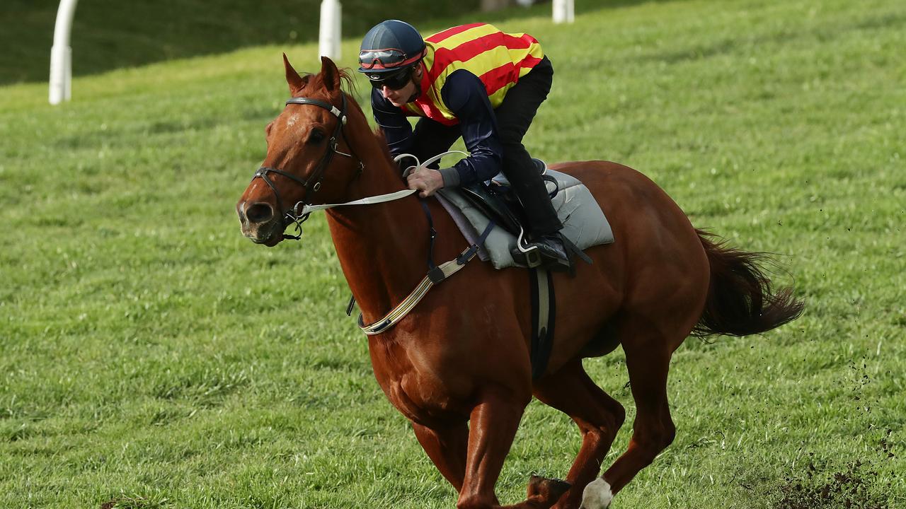 Rosehill Barrier Trials