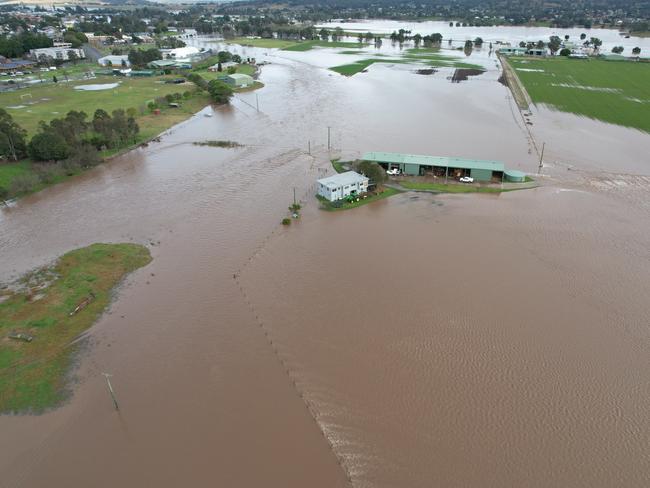 Ty Merrick has lost hundreds of thousands of dollars of crops at Singleton.