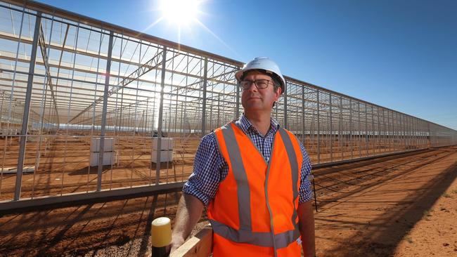 Sundrop Farms general manager Phillip Lemon on site where one of the giant glass houses is being constructed at Port Augusta. When completed, they will cover about 200 hectares. Picture: Dean Martin