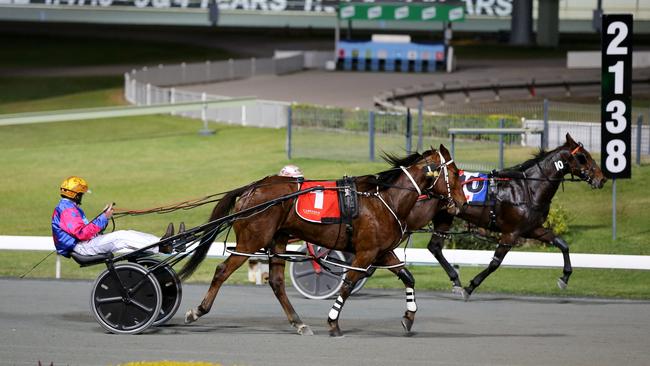 Greater Ipswich women lead way for Qld on track