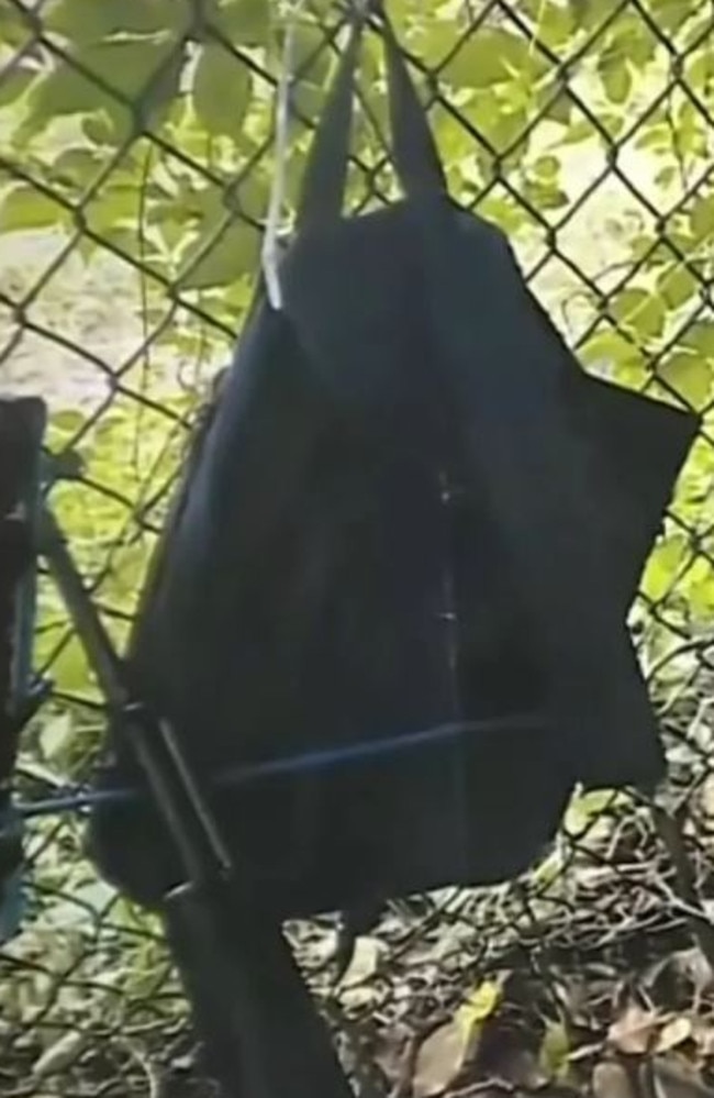 The suspect’s backpack. Picture: Supplied