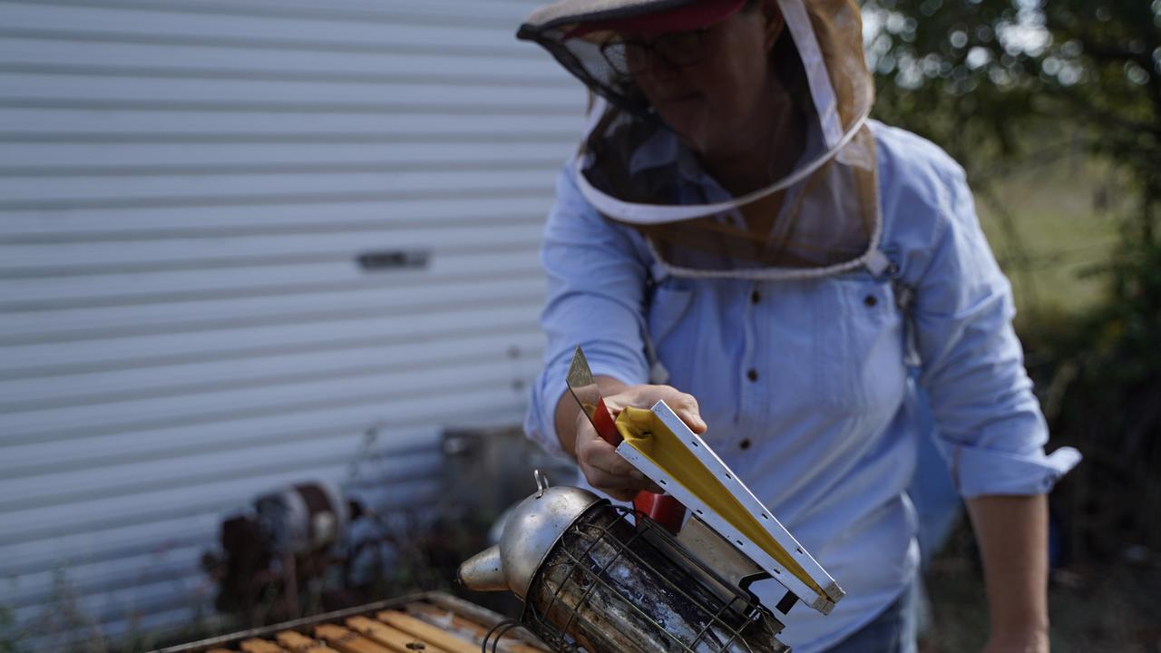 Central Queensland Beekeepers Association president Wendy Eiteneuer tending to her bees at Marian. Picture: Heidi Petith