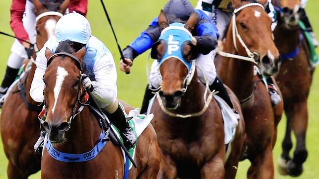 Invienna, left, will have to overcome a wide gate on Saturday. Picture: Jenny Evans