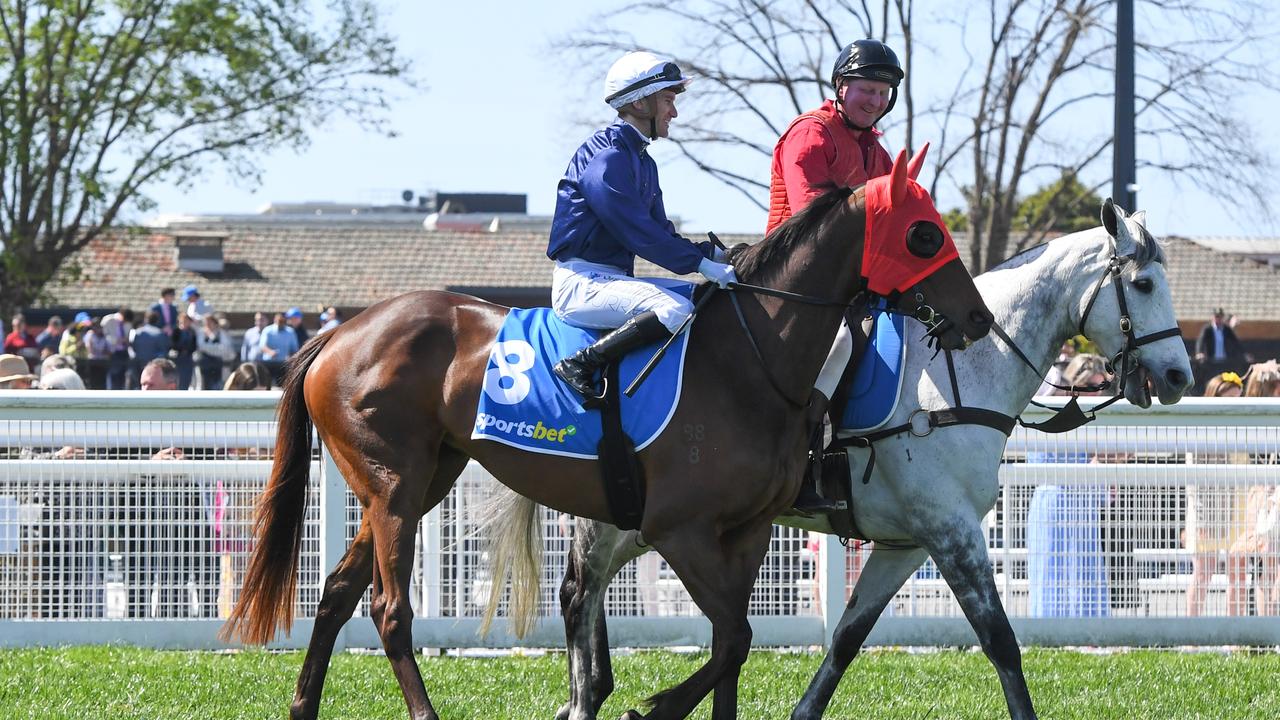 The Map ridden by Luke Currie prior the Herbert Power Stakes at Caulfield. Picture: Brett Holburt/Racing Photos via Getty Images