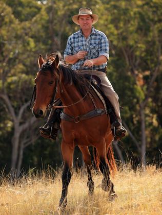 Man rescues 52 brumbies from Burragorang Valley | Daily Telegraph