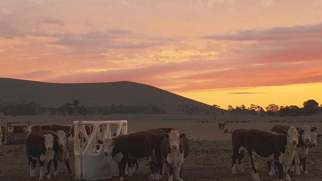 The site has been used for cattle farming.