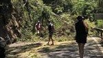 A tree has fallen on the Kuranda Range, closing the road in both directions. The road block occurred near the Henry Ross Lookout on the Kennedy Highway at MacAlistair Range.