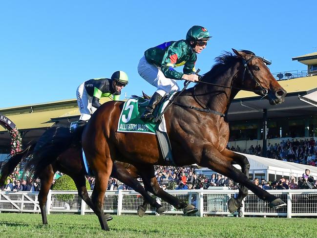 Pics of Alligator Blood (trained by Gai Waterhouse and Adrian Bott) wins the Stradbroke, Jockey is Tim Clark Bloke in red hat is Gai Waterhouse's stable rep Neil Paine pics credit Grant Peters Trackside Photography