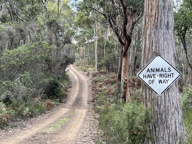 Native animals are a feature at the Cape House near Dover. Travel. Picture: Philip Young