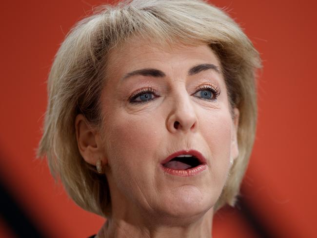 SYDNEY, AUSTRALIA - NewsWire Photos NOVEMBER 14, 2024: Senator Michaelia Cash during a press conference discussing todayÃs labour force employment data. Picture: NewsWire / Nikki Short