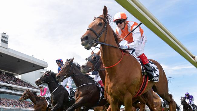 Vow And Declare, ridden by Craig Williams, wins the Lexus Melbourne Cup.