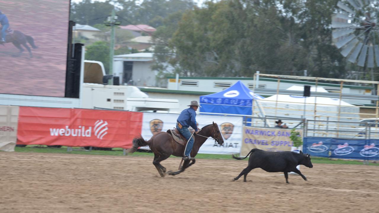 Nebo campdraft competitor Pete Comiskey riding Duckyeah in the Warwick Gold Cup Campdraft on Monday. Picture: contributed / Gerard Walsh