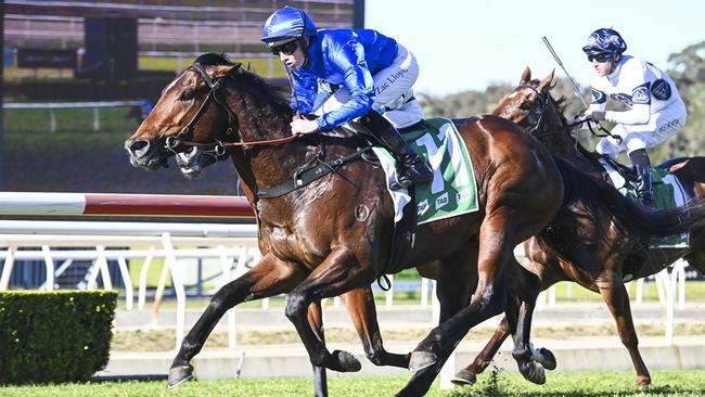 Last Druid returns to Wyong looking to claim his second career win. Picture: Bradley Photos