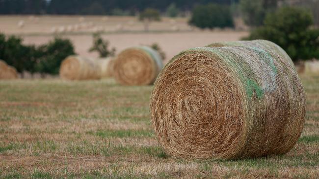 Not moving: Buyers are holding back on hay, waiting for price falls.