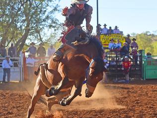 Shocking video shows animals’ ‘freak’ rodeo deaths