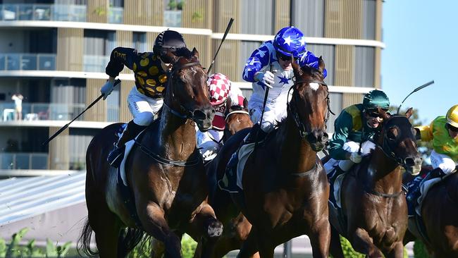 Golden Boom (blue and white colours) wins the Bribie Handicap at Eagle Farm for jockey Kyle Wilson-Taylor and jockey Angela Jones. Picture: Grant Peters, Trackside Photography.