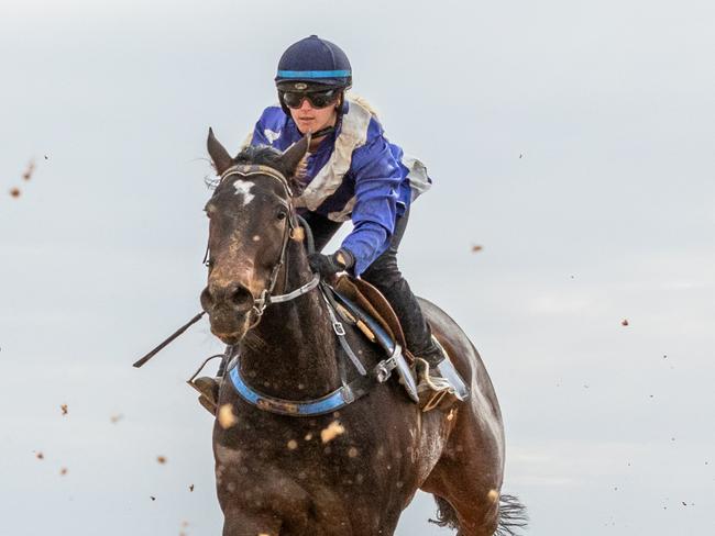 Apprentice Caitlin Tootell rides in a barrier trial. Picture: Racing SA