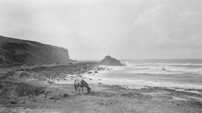 New Light: Photography Now + Then exhibition at Museum of Brisbane - Alfred Elliott, Point Danger from Duranbah Beach, Tweed Heads 1923, print from film negative Picture Supplied