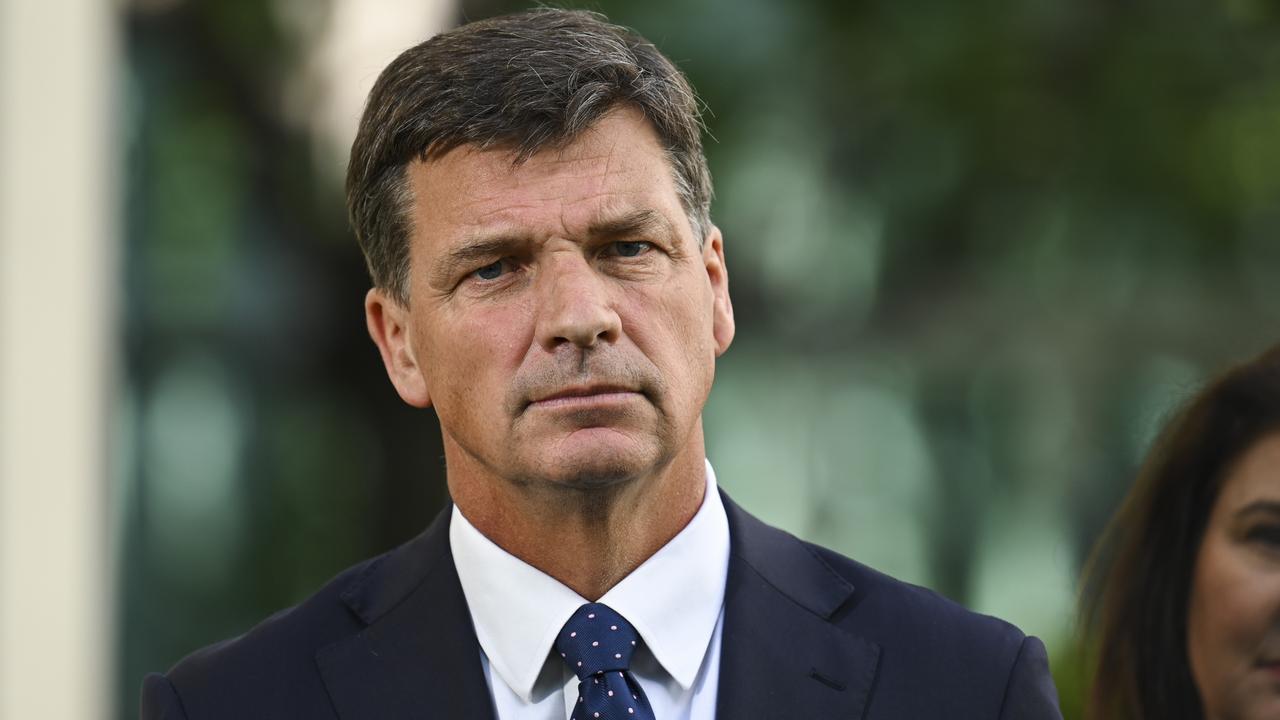 Shadow Treasurer Angus Taylor. Picture: Martin Ollman