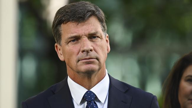 Shadow Treasurer Angus Taylor. Picture: Martin Ollman