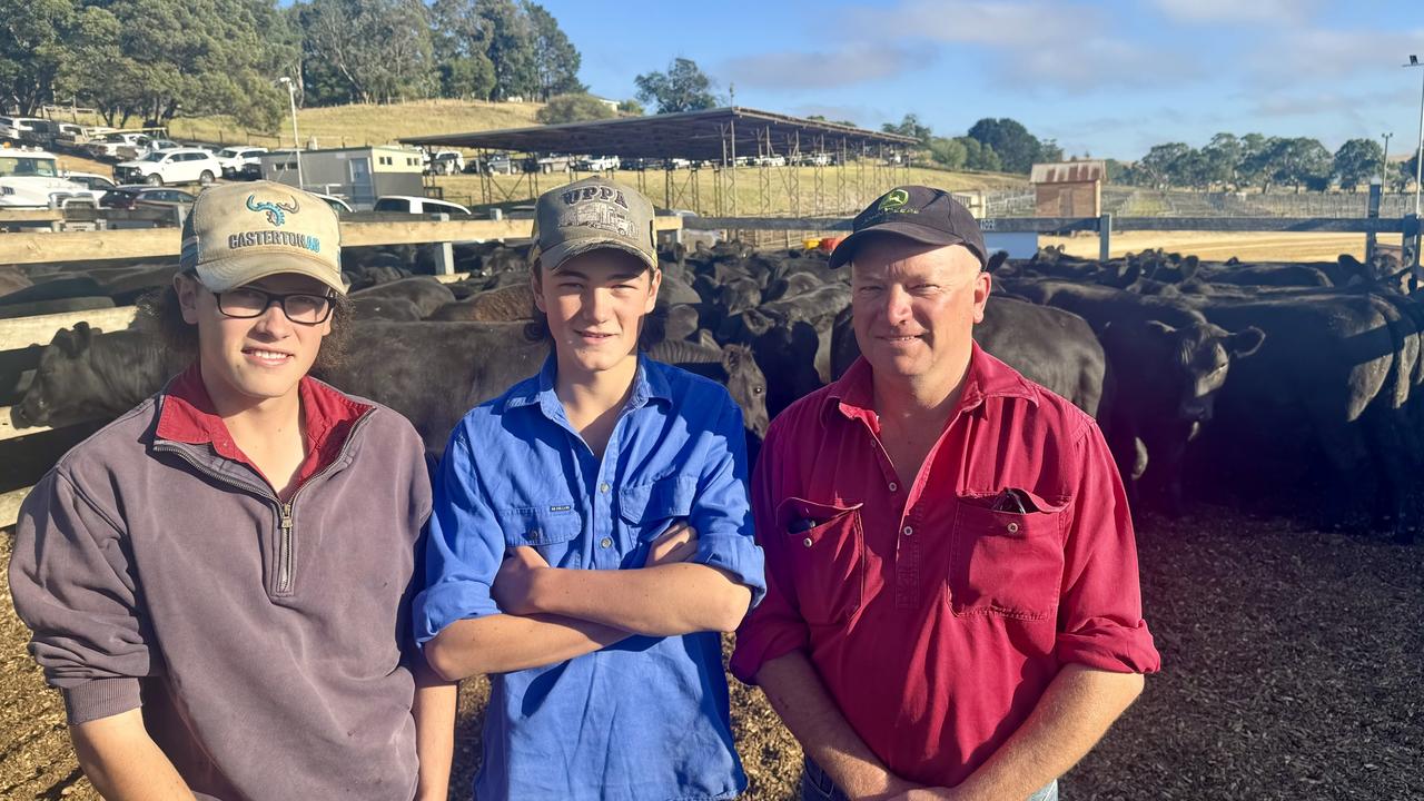 Price gap emerges at Western District weaner sales