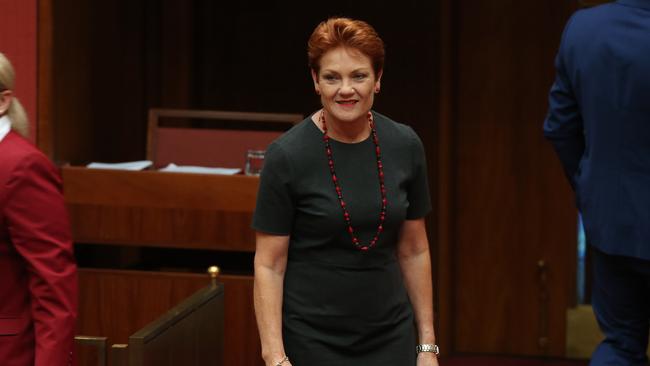 2017 — One Nation's Pauline Hanson in the Senate. Picture Gary Ramage