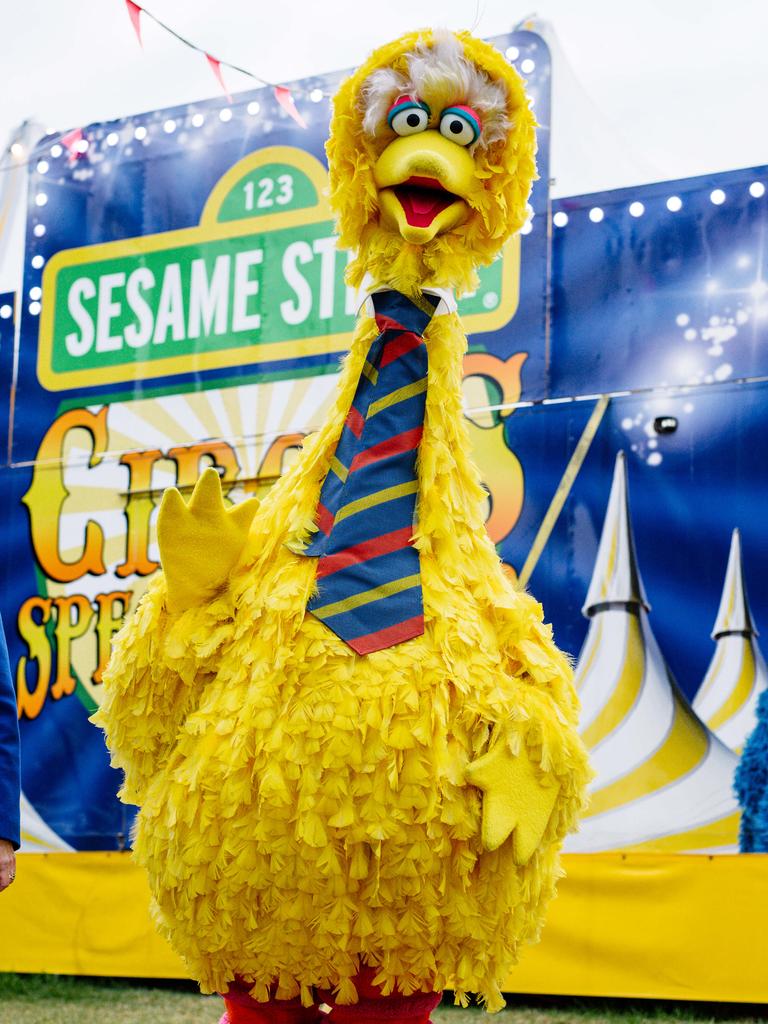 The Big Bird costume was stolen then returned to the Sesame Street Circus Spectacular on April 21. Picture: The Advertiser/ Morgan Sette