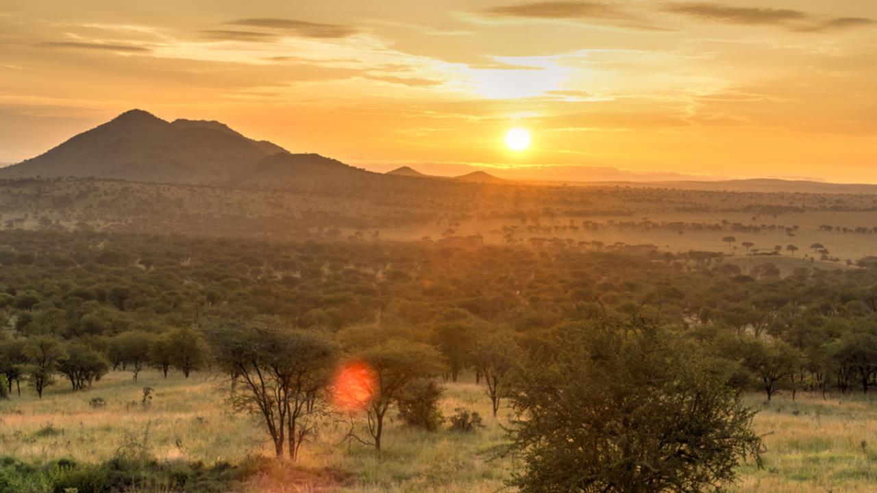 Pre-pandemic, Tanzania welcomed scores of tourists to the Serengeti national park.