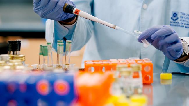 Noxopharm is now moving on to phase two trials of its cancer treatment.