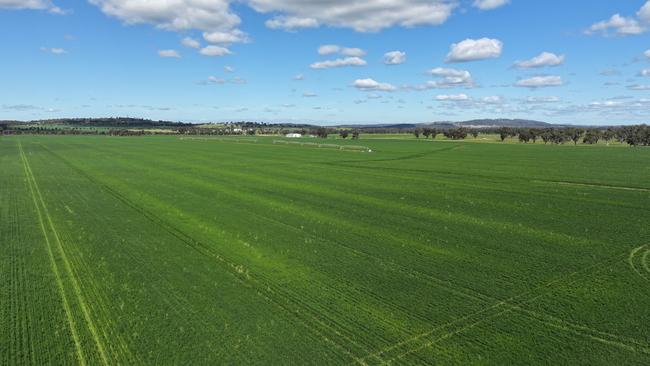 Walteela and Fletchers are for sale at a combined value of $32m.